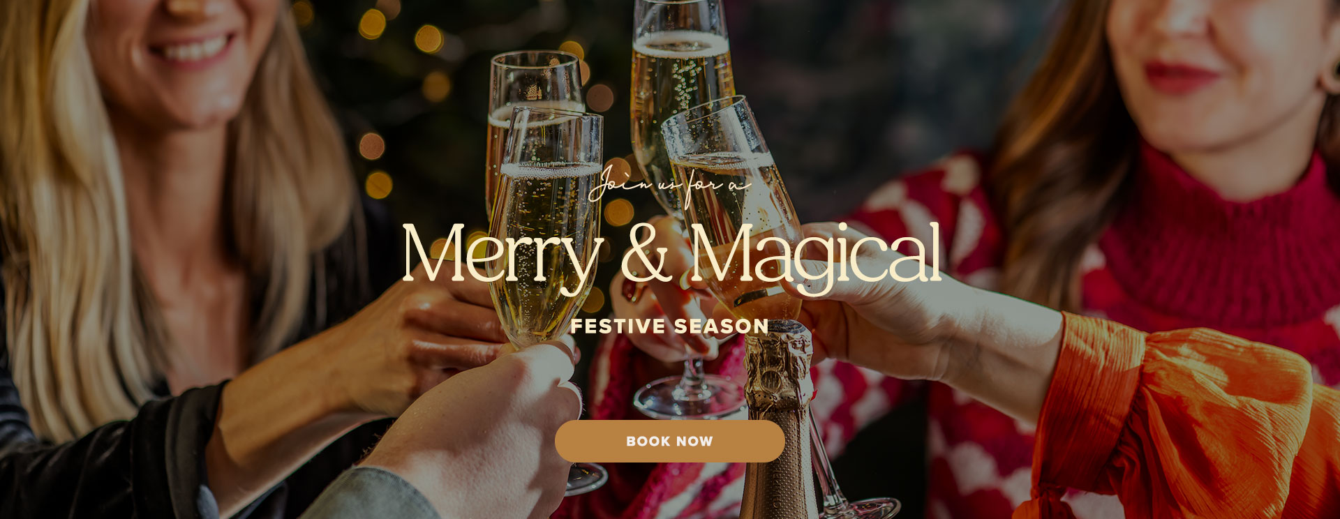 Christmas 2025 at Sheffield